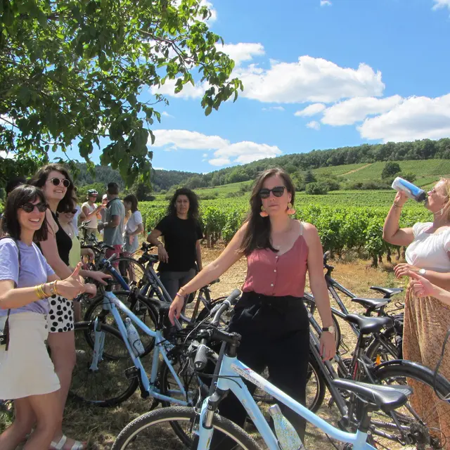 Balade dans les vignes - Beaune