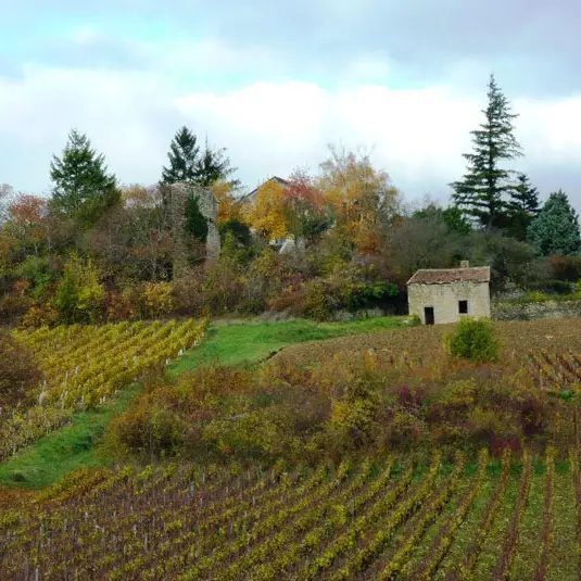 Chemin Saint Jacques Beaune Cluny