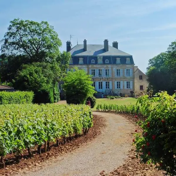 Vignes et parc du Domaine de Suremain