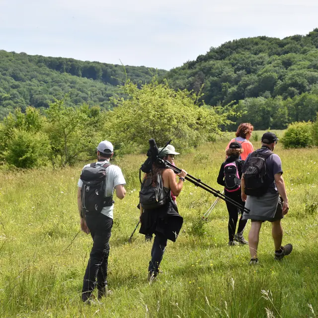 Randonneurs Fontenelay