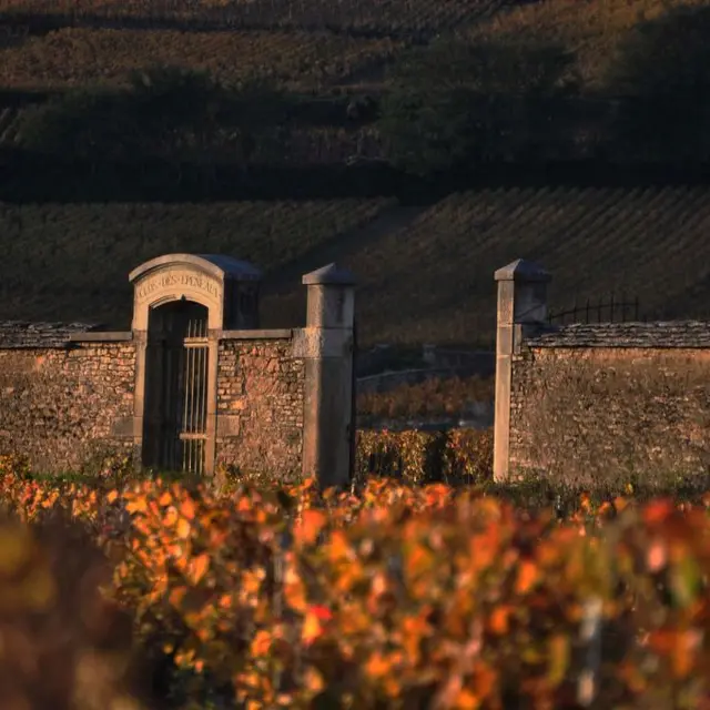 Circuit-privatise - Cote-de-Beaune-et-Cote-de-Nuits