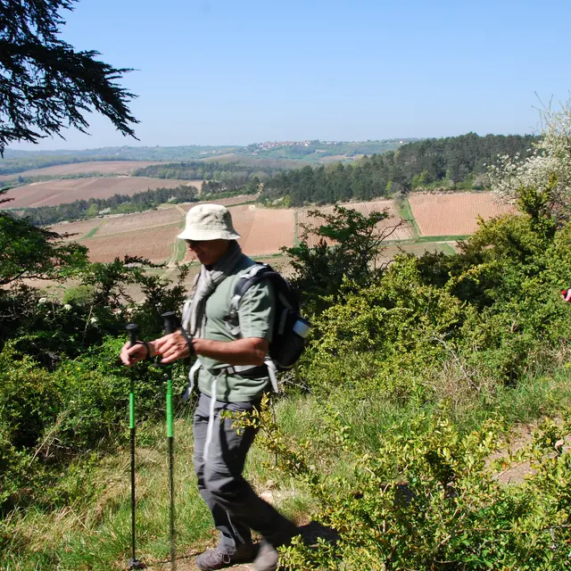 25e Randonnée les Amis d'Albert