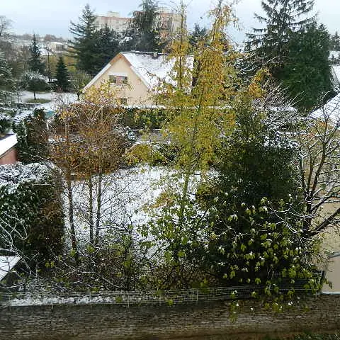 Vue  hivernale depuis la terrasse