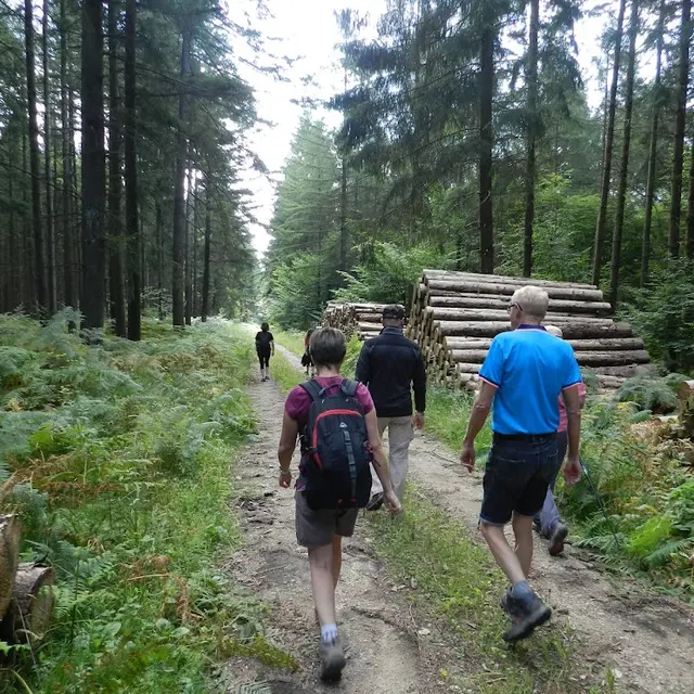 rando montboillon