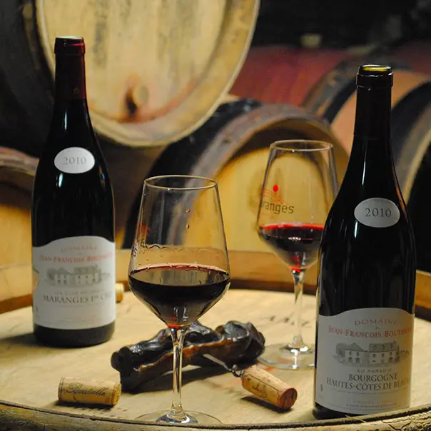 Domaine-Bouthenet-Jean-François