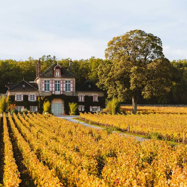 Domaine-D-ardhuy-09759