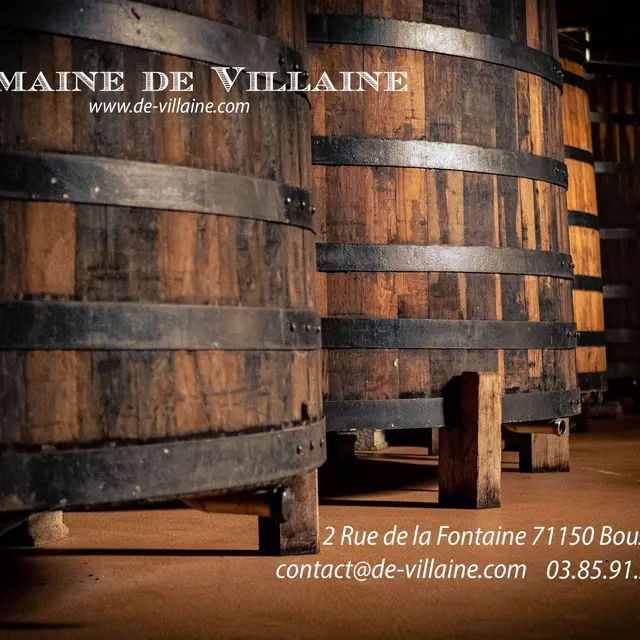 Domaine De Villaine