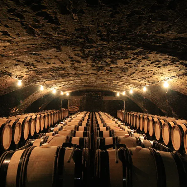 Domaine-Jeannin-Naltet-(1)