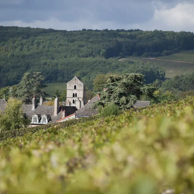 Domaine Ninot