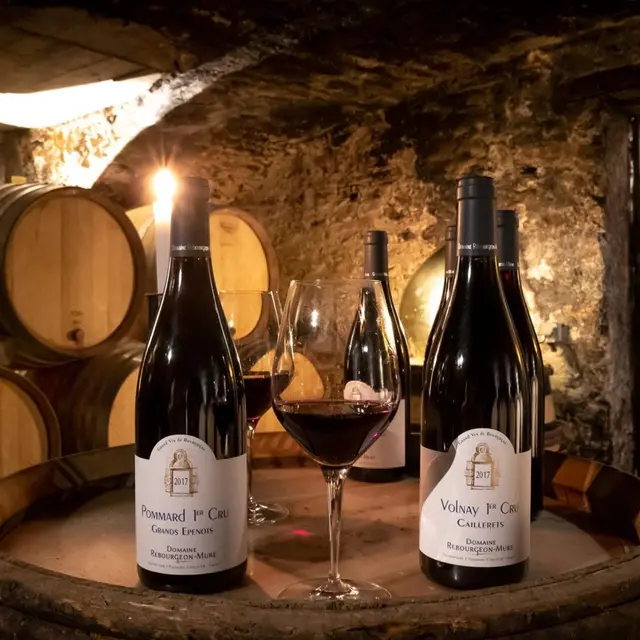 Domaine Rebourgeon-Mûre