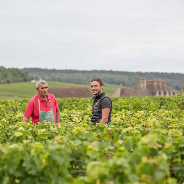Domaine Y.Clerget