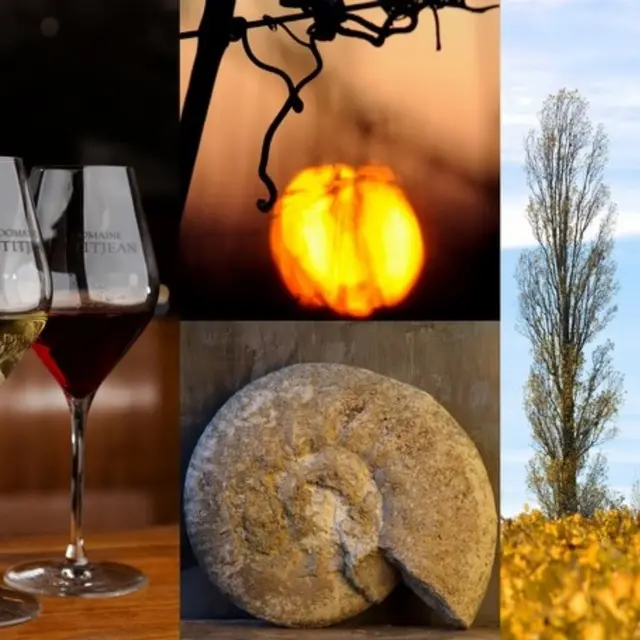 Domaine petitjean