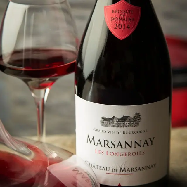 Degustation-Chateau-de-Marsannay