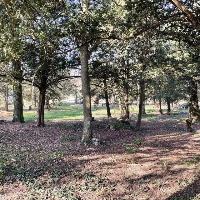 Dennevy - Parc communal - 2021 (1)