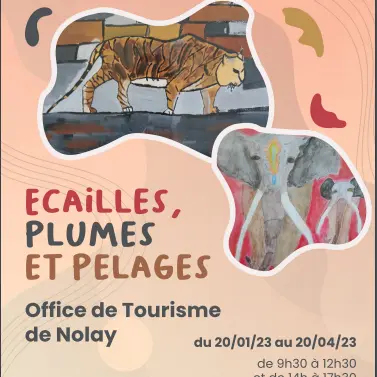 Ecailles Plumes et Pelages