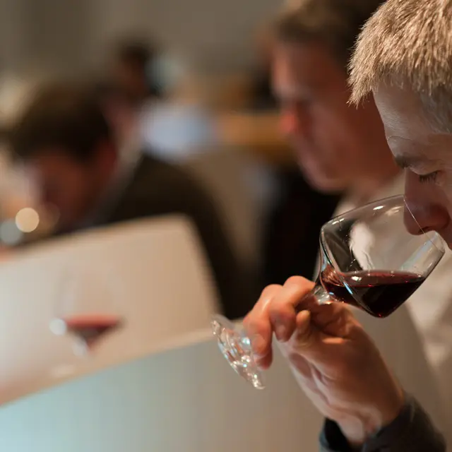 Ecole des Vins Dégustation