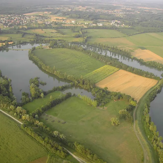 Epervans - Ile Chaumette - 2016 (1)