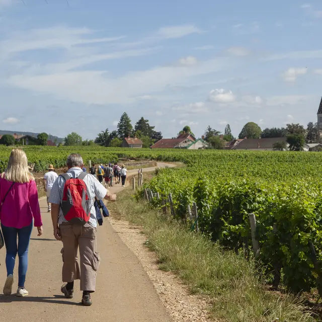 Escap Château Gris 06 2022