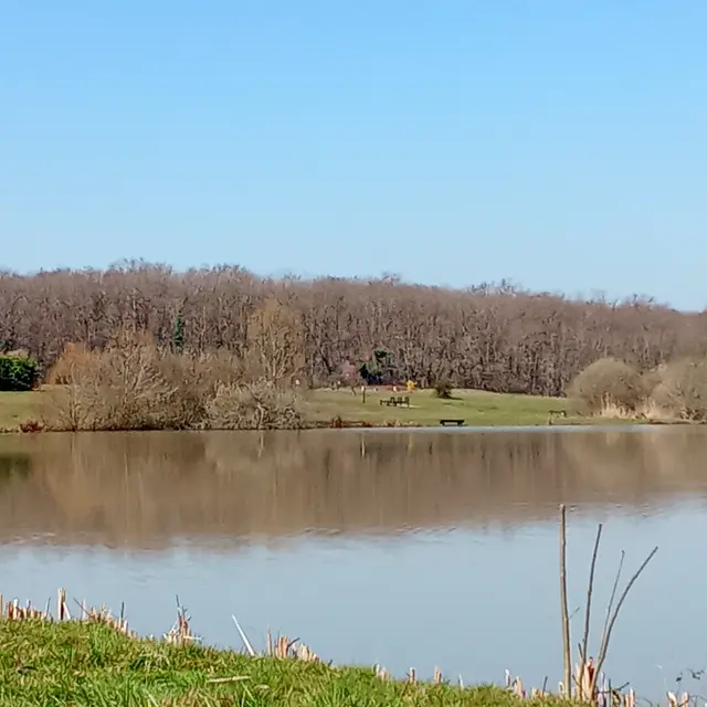 Etang de Champforgeuil