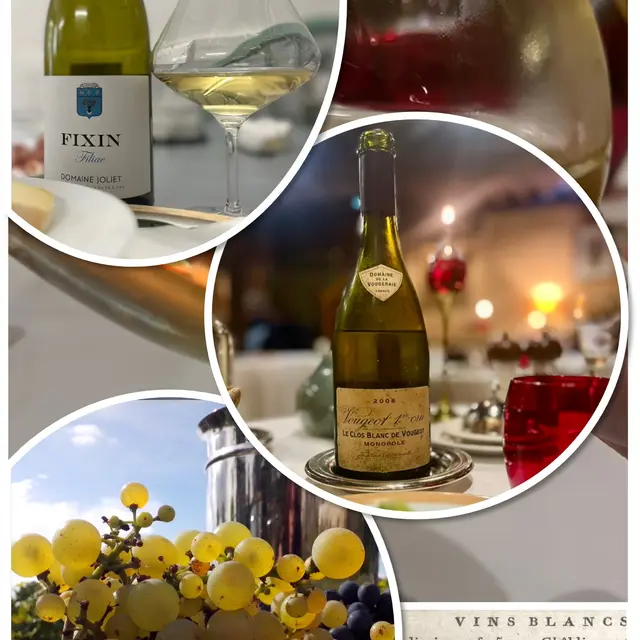 Expérience oenohistorique : Les vins blancs de la Côte de Nuits