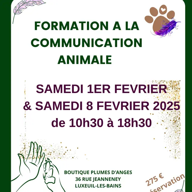 FORMATION COMMUNICATION ANIMALE LUXEUIL LES BAINS HAUTE SAONE