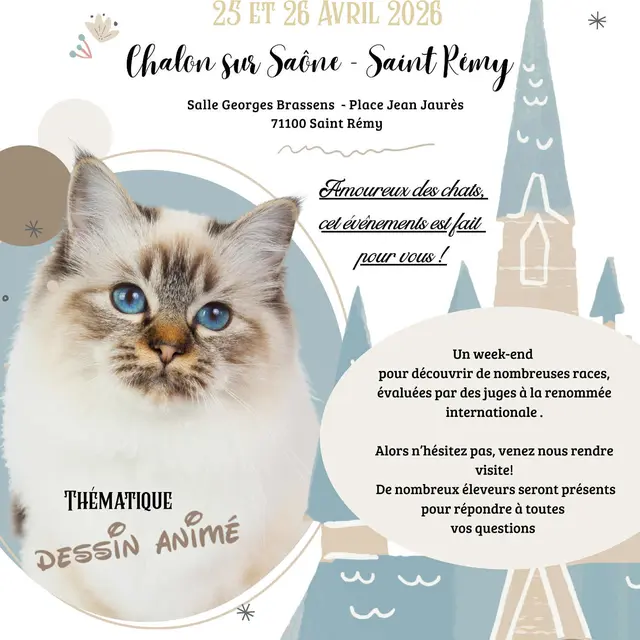 FLYER EXPOSITION FELINE