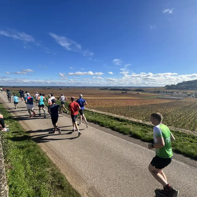 Edition 2024 de Foulée des Vendanges  à Savigny les Beaune