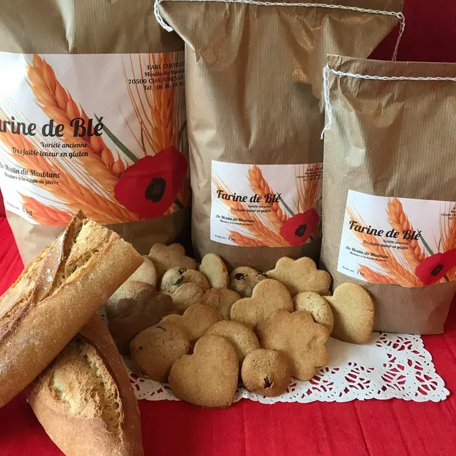 Farine de Blé