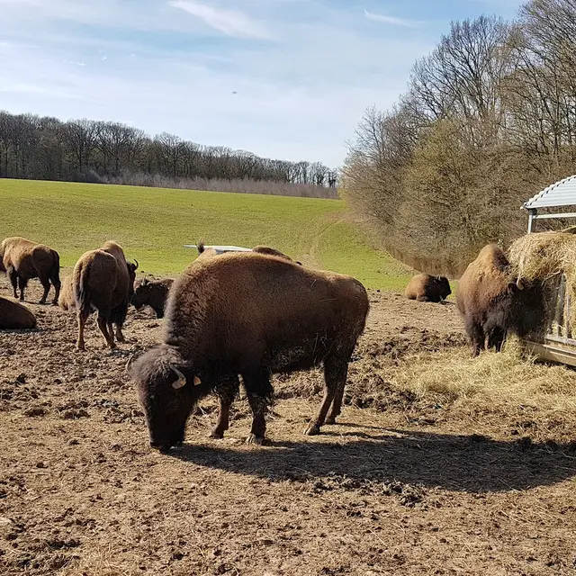 La Ferme de la marquise