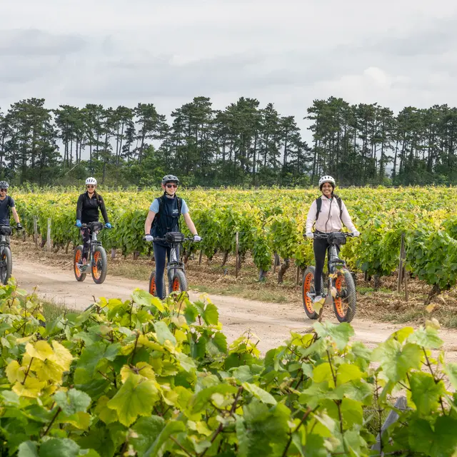 France a Velo Auxerre Office de tourisme d Auxerre et de l Auxerrois