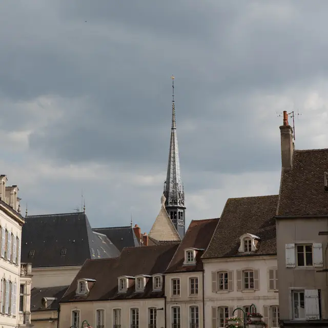 Fresque-beaune 2014-_1