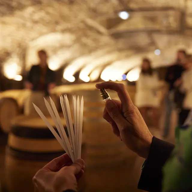 Atelier des sens - Arômes des caves