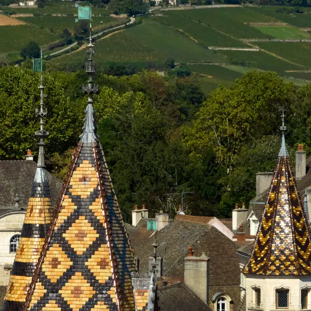 Hôtel-Dieu Hospices Civils de Beaune - Vue Drone
