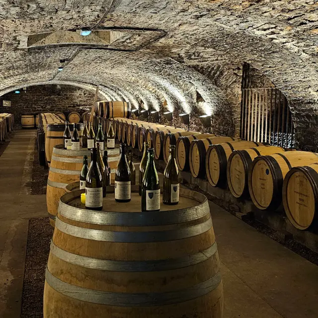 Anciennes caves - Hôtel-Dieu des Hospices Civils de Beaune