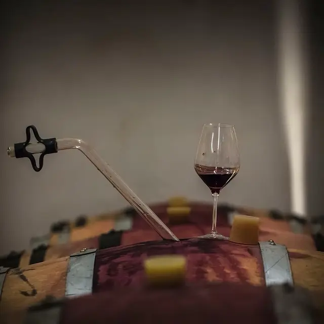 Dégustation sur fûts