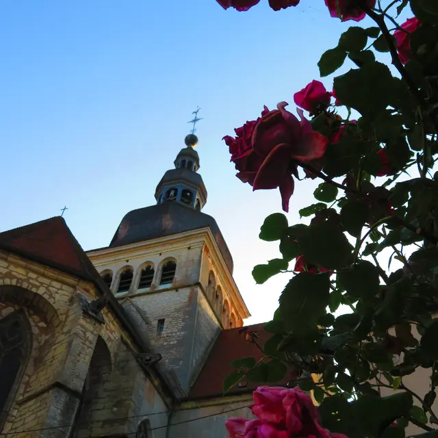 Basilique