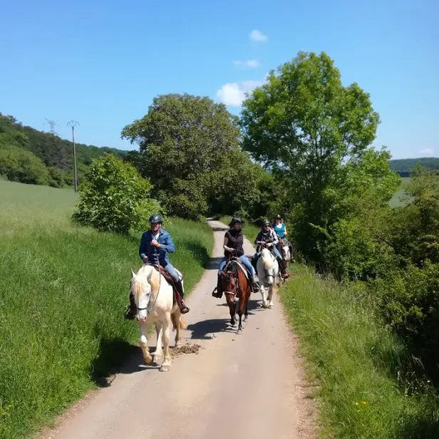 Balade à cheval Mountain Farm