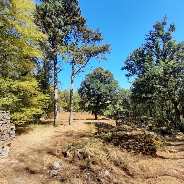 Site néolithique