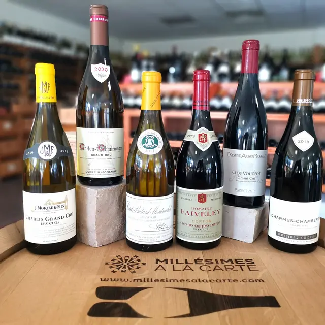 Dégustation Grands Crus 2023
