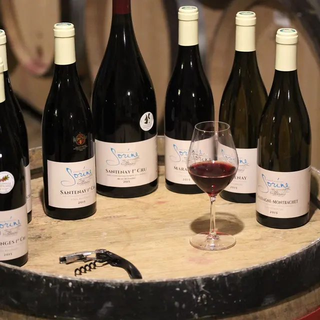 Domaine Sorine