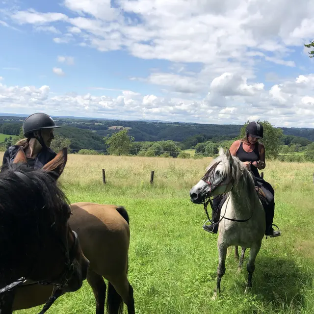 Randonnée équestre dans les 1000 Etangs