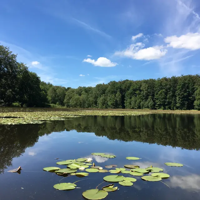 Circuit des Pierres et des Etangs