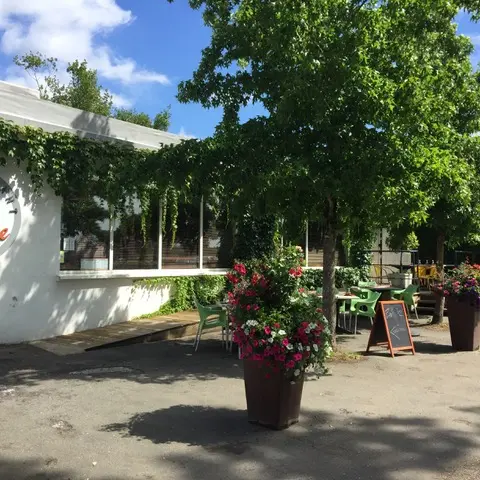 IMG-5373
