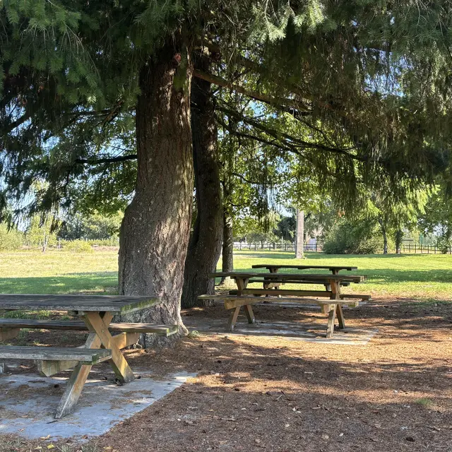 AIRE DE PIQUE NIQUE N°1