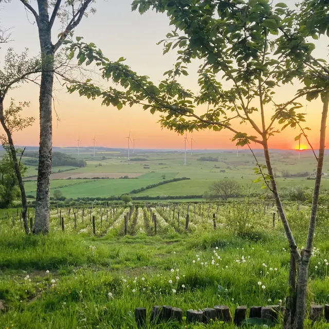 Domaine de la Cleratine