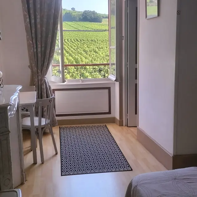 IMG20240813100640