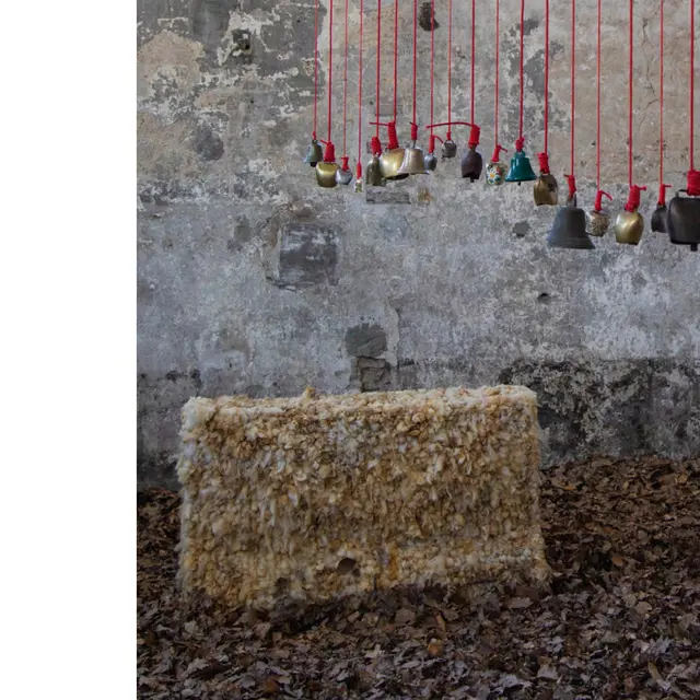 Vue de l’exposition « Chasser le dahu », Johan Côte-Gayffier