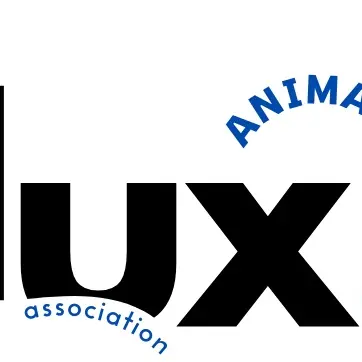 LOGO LUXANIMATIONS