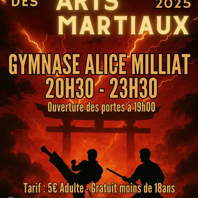 LA NUIT DES ARTS MARTIAUX  - 1