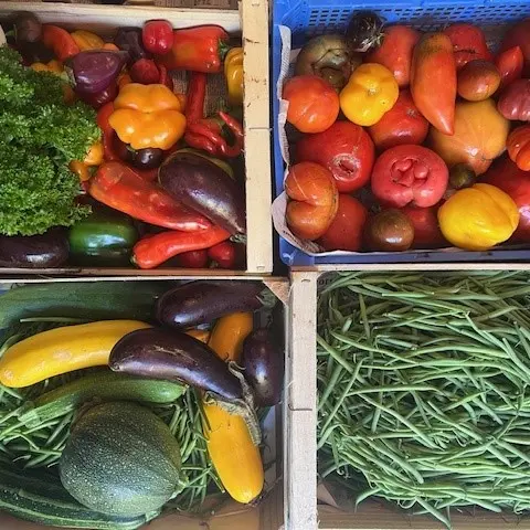 Légumes variés